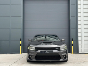2025 Dodge Charger in Other — image 2
