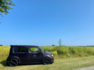 2009 Nissan Cube 1.5g Gen3 Purple Moon Roof in Purple — image 5