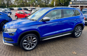 2019 Skoda Karoq 2.0 Tdi Scout 4WD Euro 6 (s/s) 5dr in Blue — image 3