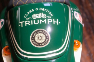1999 Triumph Daytona 955 Daytona 955i "mallory" Unique Build in Green — image 5