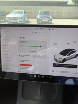 2021 Tesla Model 3 (dual Motor) Long Range in White — image 2