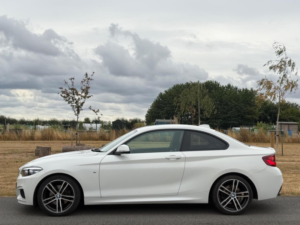 2019 BMW 2 Series 2.0 220i Gpf M Sport Auto Euro 6 (s/s) 2dr in White — image 5