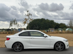 2019 BMW 2 Series 2.0 220i Gpf M Sport Auto Euro 6 (s/s) 2dr in White — image 6