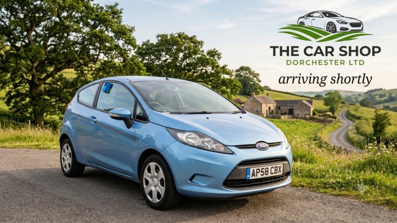 2009 Ford Fiesta 1.3 Style + in Blue — image 1