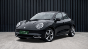2023 Gwm Funky Cat 48kwh First Edition Hatchback 5dr Electric Auto (171 Ps) in Black — image 2