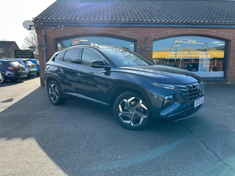 2022 Hyundai Tucson 1.6 H T-Gdi Premium Auto Euro 6 (s/s) 5dr in Blue — image 1