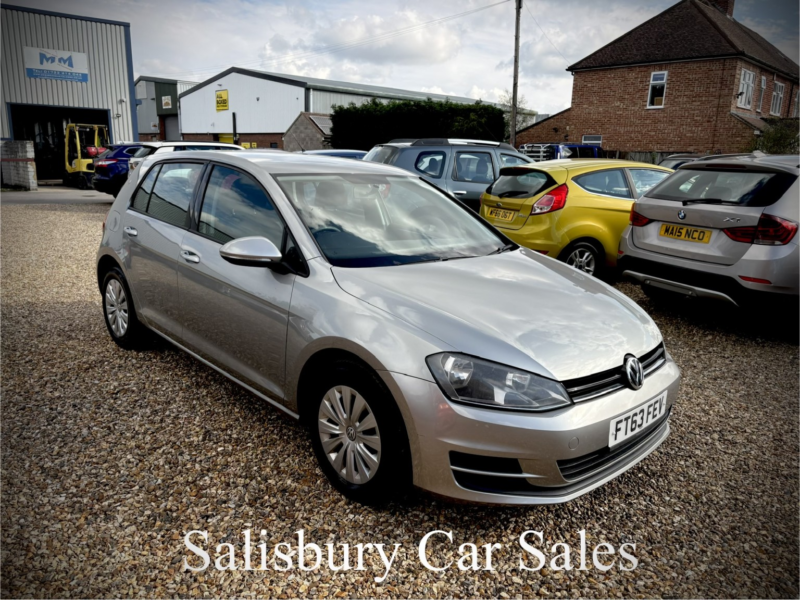 2013 Volkswagen Golf 1.6 Tdi Bluemotion Tech S in Silver — image 1