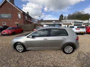 2013 Volkswagen Golf 1.6 Tdi Bluemotion Tech S in Silver — image 6