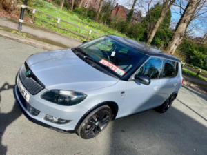 2013 Skoda Fabia 1.6 Tdi Monte Carlo Euro 5 5dr in Silver — image 2