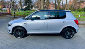 2013 Skoda Fabia 1.6 Tdi Monte Carlo Euro 5 5dr in Silver — image 5