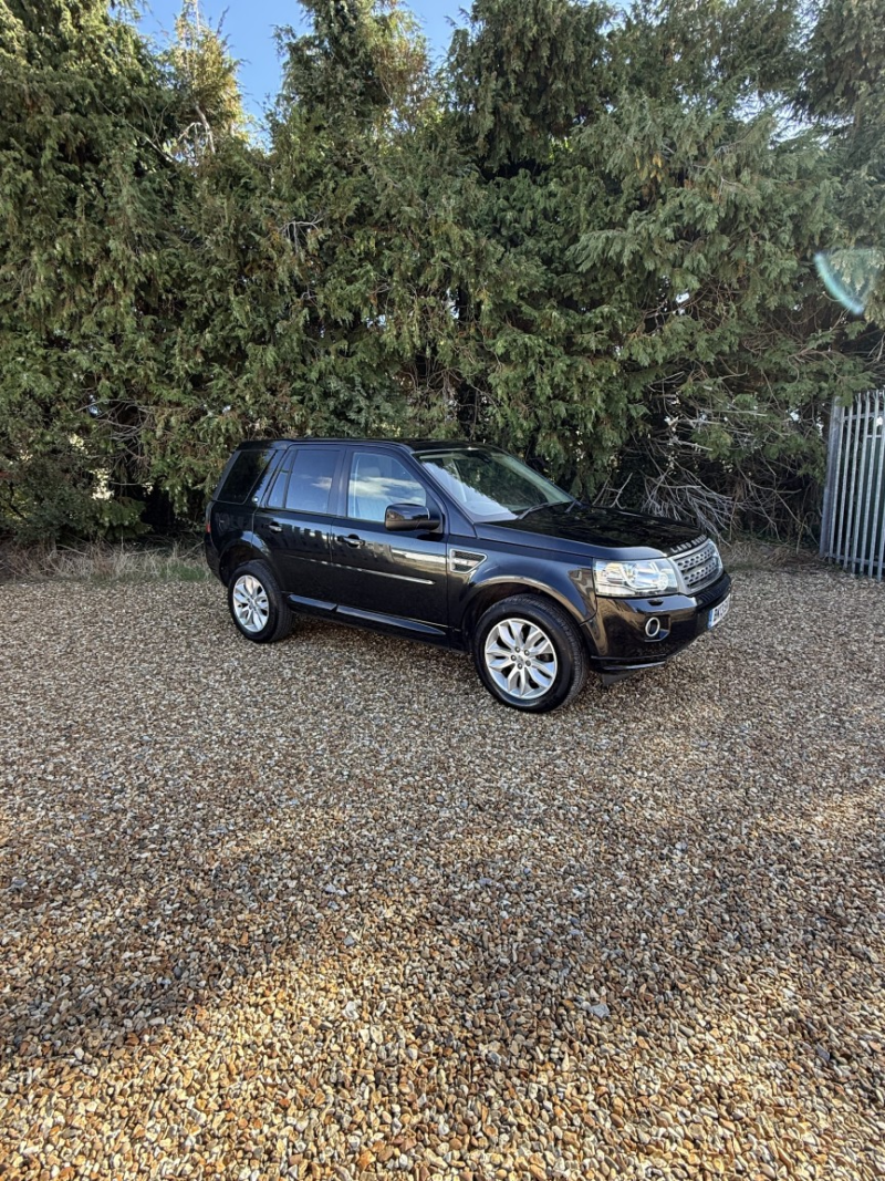 2013 Land Rover Freelander 2 2.2 Td4 Gs in Black — image 1