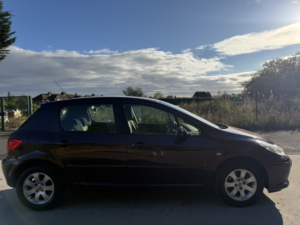 2005 Peugeot 307 1.6 16v S in Red — image 3