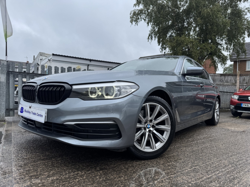 2017 BMW 5 Series 2.0 520d Se Saloon in Blue — image 1