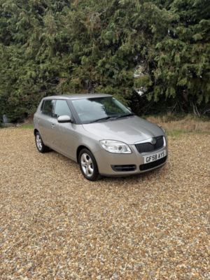 2008 Skoda Fabia 1.4 16v 2 in Beige — image 4
