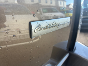 2010 Land Rover Range Rover 3.6 Td V8 Autobiography SUV 5dr Diesel Auto 4WD Euro 4 (271 Ps) in Bronze — image 3