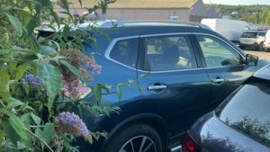 2017 Nissan X-Trail 1.6 Dci Tekna in Blue — image 4