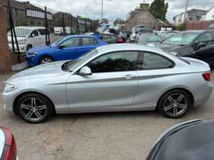 2015 BMW 2 Series 2.0 220i Sport Coupe 2dr Petrol Manual Euro 6 (s/s) (184 Ps) in Silver — image 6