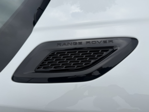 2014 Land Rover Range Rover Sport 3.0 Sd V6 Hse SUV 5dr Diesel Auto 4WD Euro 5 (s/s) (292 Ps) in Multicolour — image 6