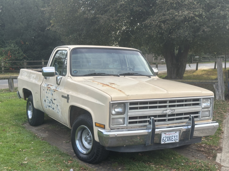 1986 Chevrolet C10 Custom Deluxe Swb in Beige — image 1