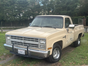 1986 Chevrolet C10 Custom Deluxe Swb in Beige — image 2