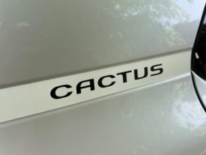 2017 Citroen C4 Cactus 1.2 Puretech W Euro 6 (s/s) 5dr in White — image 4