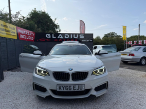 2016 BMW 2 Series 1.5 218i M Sport Auto Euro 6 (s/s) 2dr in White — image 5