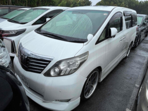 2010 Toyota Alphard 240x 8 Seats in White — image 6