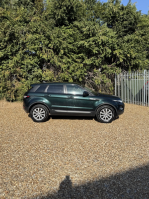 2014 Land Rover Range Rover Evoque 2.2 Sd4 Pure Tech in Green — image 6