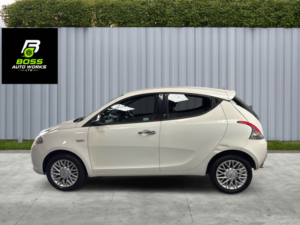 2014 Chrysler Ypsilon 1.2 Ypsilon 1.2 Se in White — image 6
