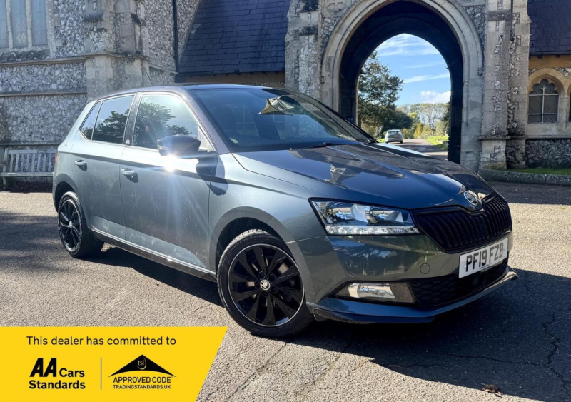 2019 Skoda Fabia 1.0 Tsi Monte Carlo Euro 6 (s/s) 5dr in Grey — image 1