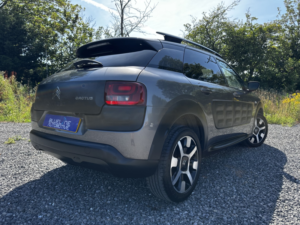 2017 Citroen C4 Cactus 1.6 Bluehdi Flair in Grey — image 3