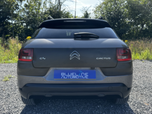 2017 Citroen C4 Cactus 1.6 Bluehdi Flair in Grey — image 4