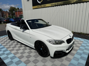 2016 BMW 2 Series 2.0 220d M Sport Auto Euro 6 (s/s) 2dr in White — image 4