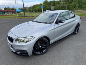 2014 BMW 2 Series 2.0 220d M Sport Euro 6 (s/s) 2dr in Silver — image 3