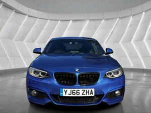 2016 BMW 2 Series 2.0 220d M Sport Auto Euro 6 (s/s) 2dr in Blue — image 2