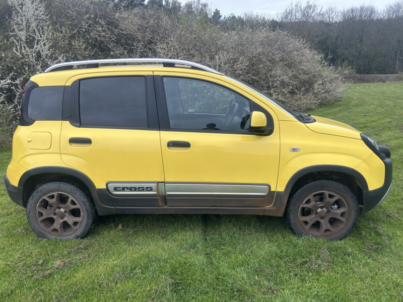 2014 Fiat Panda 0.9 Panda Cross My Twinair 90hp in Yellow — image 1