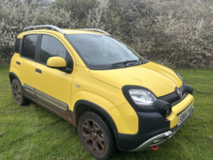 2014 Fiat Panda 0.9 Panda Cross My Twinair 90hp in Yellow — image 2