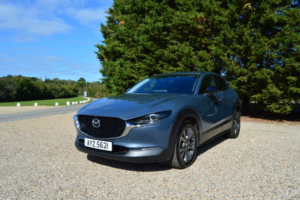 2020 Mazda Cx-30 2.0 Skyactiv-X Mhev Gt Sport Tech in Grey — image 2