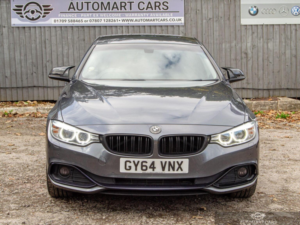 2014 BMW 4 Series Gran Coupe 2.0 420d Sport Auto Xdrive Euro 6 (s/s) 5dr in Grey — image 2