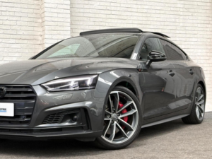2017 Audi S5 3.0 Tfsi V6 Sportback Tiptronic Quattro Euro 6 (s/s) 5dr in Grey — image 5