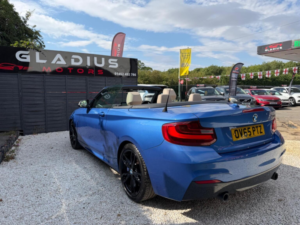 2015 BMW 2 Series 3.0 M235i Auto Euro 6 (s/s) 2dr in Blue — image 5