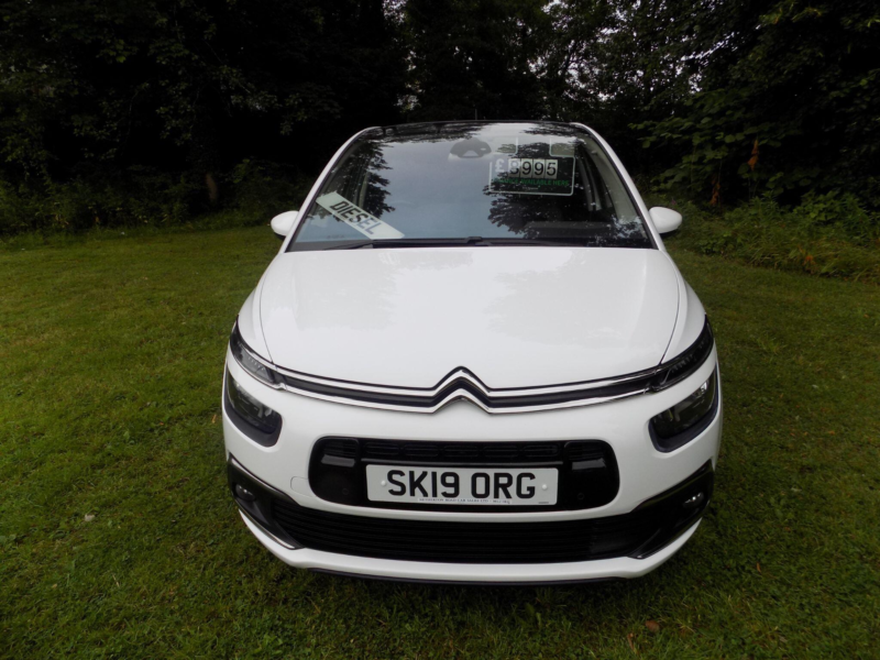 2019 Citroen C4 1.5 Bluehdi Flair Euro 6 (s/s) 5dr in White — image 1