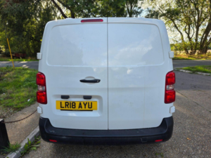 2018 Peugeot Expert 2.0 Bluehdi 1400 Professional Standard Panel Van Mwb Euro 6 (s/s) 6dr in Orange — image 4