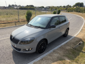 2013 Skoda Fabia 1.2 Reaction in Grey — image 4