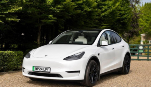 2024 Tesla Model Y Auto Rwd 5dr in White — image 2