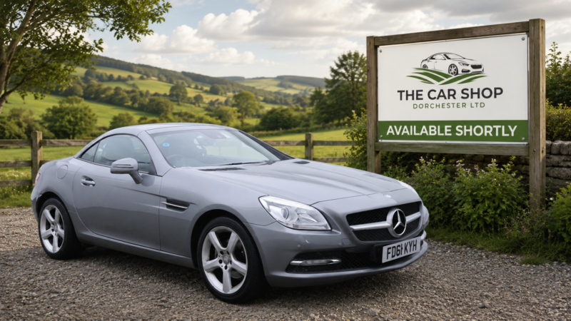 2011 Mercedes-Benz Slk 1.8 Slk200 Blueefficiency Edition 125 in Silver — image 1