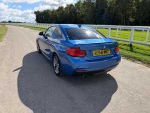 2018 BMW 2 Series 1.5 218i Gpf M Sport Auto Euro 6 (s/s) 2dr in Blue — image 6
