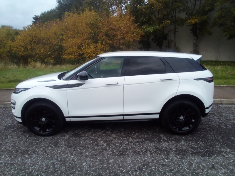 2019 Land Rover Range Rover Evoque 2.0 D180 R-Dynamic S Auto 4WD in White — image 1