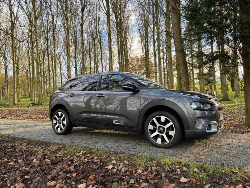2019 Citroen C4 Cactus 1.2 Puretech Flair in Grey — image 1